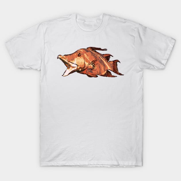 Hogfish T-Shirt by Worldengine